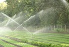 Philliplandscaping-water-management-and-drainage-17.jpg; ?>